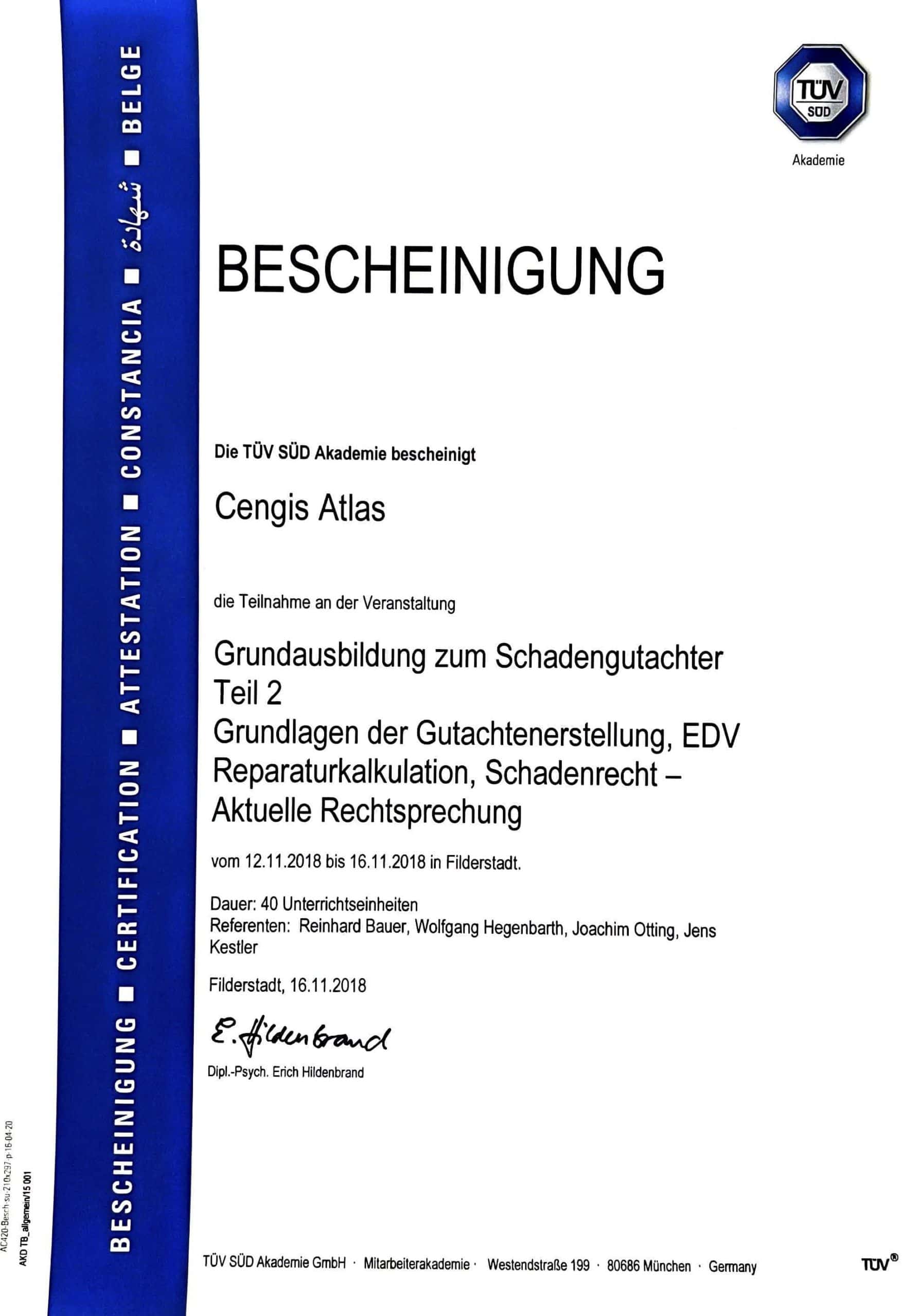 Schadensgutachter Teil 2